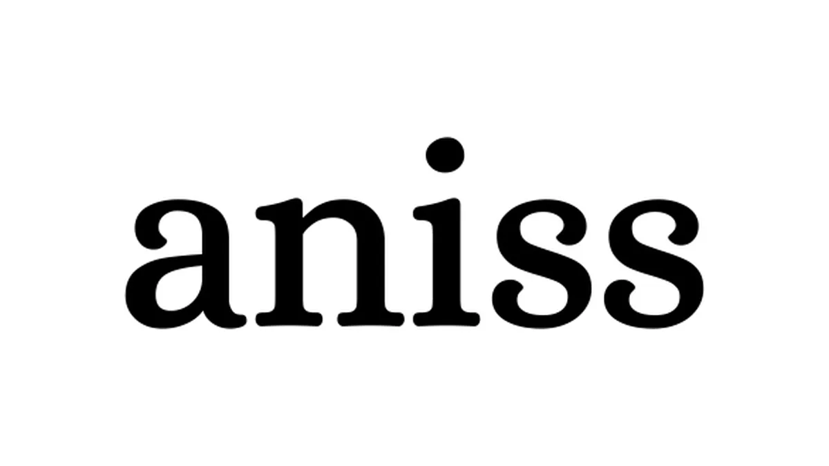 ANISS Outlet